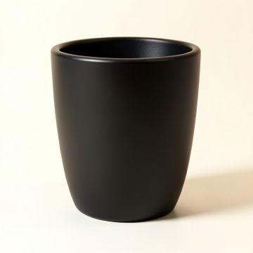 Alasdhair Resin Pot Planter (synthetic illustration; no displayed measurements)