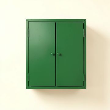 Brook Bluff Wall-Mounted Entry Cabinet - Green (synthetic illustration; no displayed measurements)