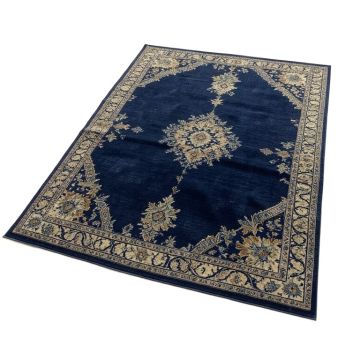Arteaga Oriental Navy Area Rug