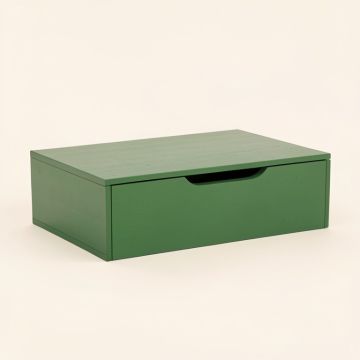 Lake Dell Desktop Monitor Riser - Green (synthetic illustration; no displayed measurements)