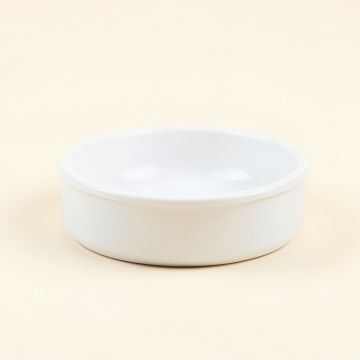 Automatic Water Dish (synthetic illustration; no displayed measurements)
