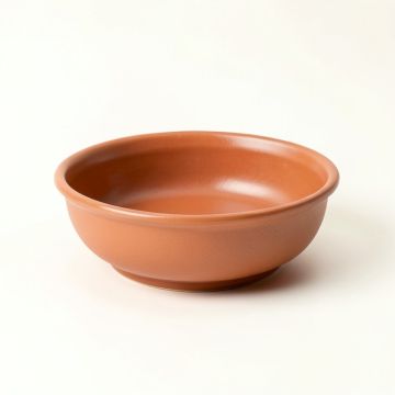 Glen Crossing Dining Bowl - Terracotta (synthetic illustration; no displayed measurements)
