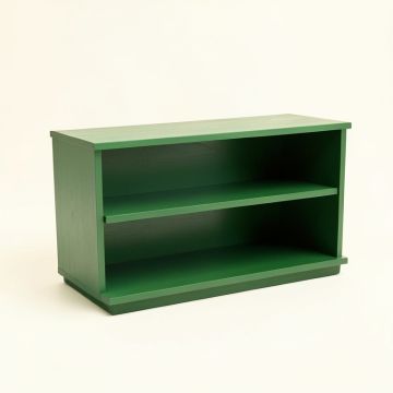 Rowan Branch Low Bookcase - Green (synthetic illustration; no displayed measurements)