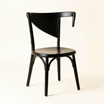 Cove Arc Dining Chair (synthetic illustration; no displayed measurements)