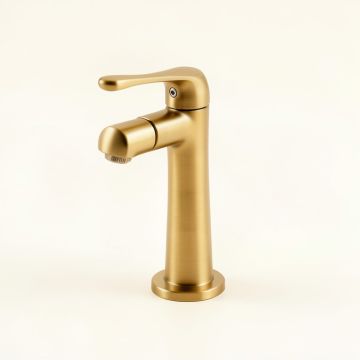 Royale Monobloc Bathroom Faucet With Drain Assembly (synthetic illustration; no displayed measurements)
