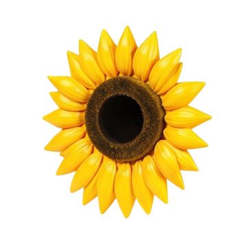 Wacky Sun