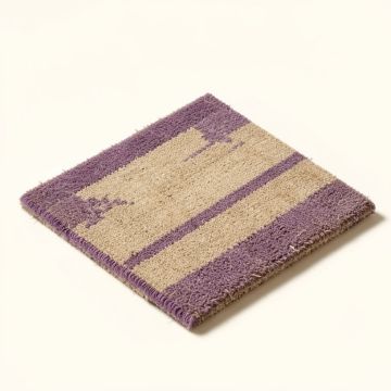 Argenta Welcome 30 In . X 18 In . Outdoor Door Mat (synthetic illustration; no displayed measurements)