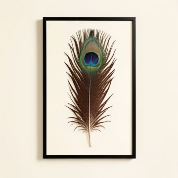 Peacock Feather 2 Graphic Art (synthetic illustration; no displayed measurements)