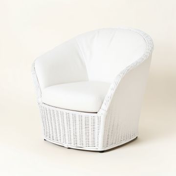 43 '' Wide Balloon Chair (synthetic illustration; no displayed measurements)