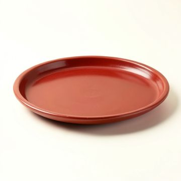 Fish Curved Platter (synthetic illustration; no displayed measurements)