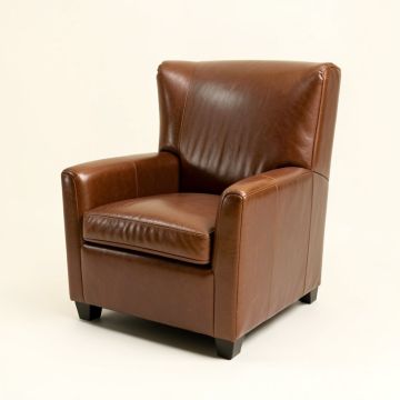 55.5 '' Wide Wingback Chair (synthetic illustration; no displayed measurements)