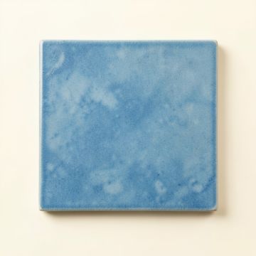 Field Branch Uninstalled Square Decorative Tile - Blue (synthetic illustration; no displayed measurements)