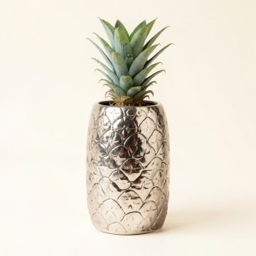 Pineapple 1 Qt . Kitchen Canister (synthetic illustration; no displayed measurements)