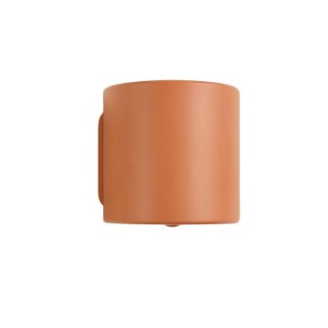 Birch Arc Wall Sconce Mounted On A Plain Wall