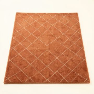 Alder Canyon Rectangular Area Rug - Terracotta (synthetic illustration; no displayed measurements)