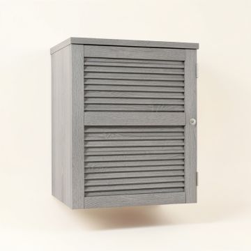 Reed Dale Wall-Mounted Laundry Cabinet - Gray (synthetic illustration; no displayed measurements)