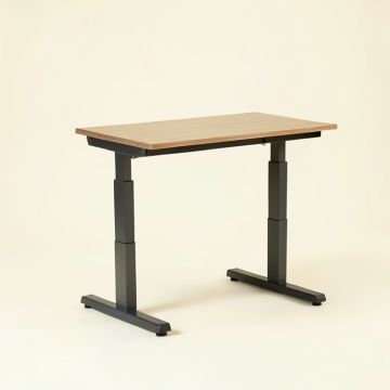 Doreatha Height Adjustable Standing Desk (synthetic illustration; no displayed measurements)