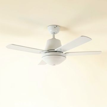 Ceiling Fan Canoies (synthetic illustration; no displayed measurements)
