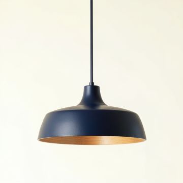 Juniper Arc Pendant Light Suspended From One Plain Cable (synthetic illustration; no displayed measurements)