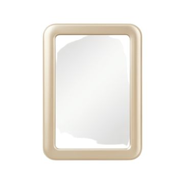 Birch Branch Framed Wall Mirror - Beige