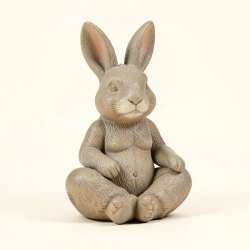 Meditation Bunny (synthetic illustration; no displayed measurements)