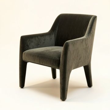 Robey Upholstered Dining Chair (synthetic illustration; no displayed measurements)