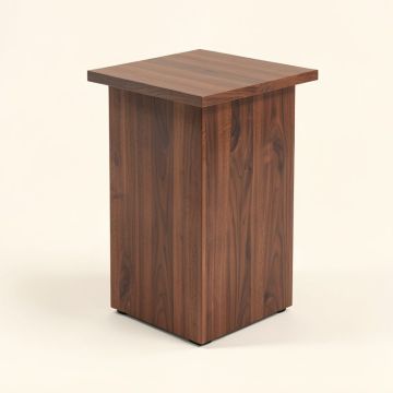 Isai Rectangular Corner Plant Stand (synthetic illustration; no displayed measurements)