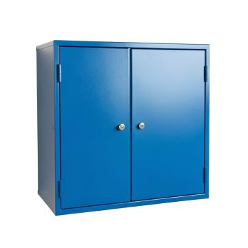 Ridge Bridge Wall-Mounted Entry Cabinet - Blue