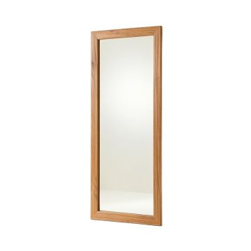 Dashan Modern & Contemporary Full Length Mirror