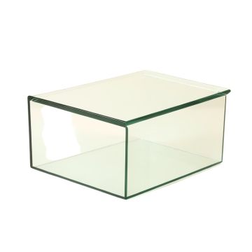 Claire 25 Gallons Rectangle Alanrium