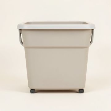 Duo Bin Laundry Sorter (synthetic illustration; no displayed measurements)