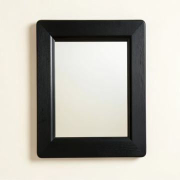 Cove Brook Framed Wall Mirror - Black (synthetic illustration; no displayed measurements)