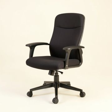 Dillsboro Executive Chair (synthetic illustration; no displayed measurements)