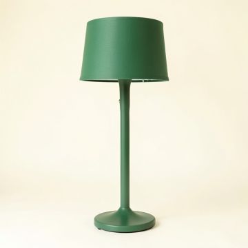 Ridge Crossing Floor Lamp With A Plain Fabric Shade - Green (synthetic illustration; no displayed measurements)