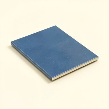 Amagansett 2 '' X 8 '' Ceramic Subway Tile (synthetic illustration; no displayed measurements)