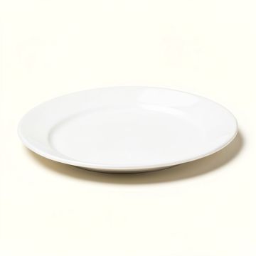 Free Style Turtle Oval Serving Platter (synthetic illustration; no displayed measurements)