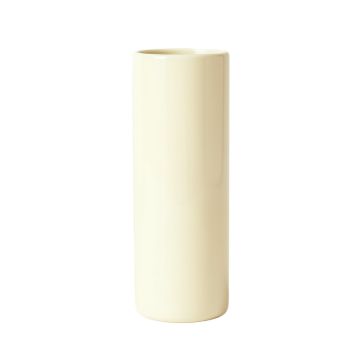 Cove Branch Empty Decorative Vase - Ivory
