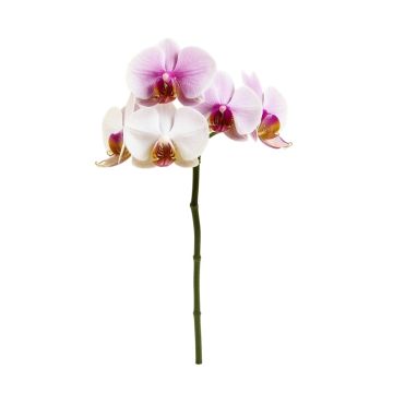 Artificial Orchids Stem