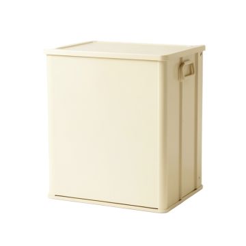 Briar Canyon Closed Outdoor Storage Box - Cream (synthetic illustration; no displayed measurements)