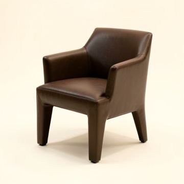 Shewmaker Side Chair (synthetic illustration; no displayed measurements)