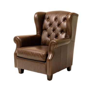 47.5 '' Wide Tufted Wingback Chair (synthetic illustration; no displayed measurements)