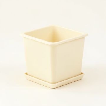 Fern Branch Empty Planter - Ivory (synthetic illustration; no displayed measurements)