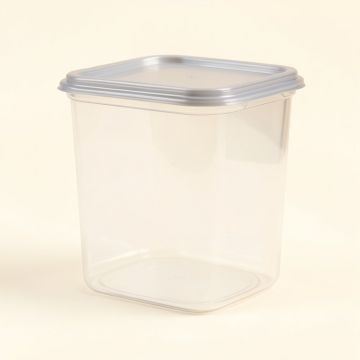 International Coffee Prokeeper 48 Oz . Food Storage Container (synthetic illustration; no displayed measurements)