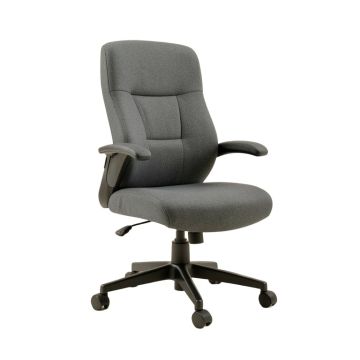 Alman Ergonomic Task Chair