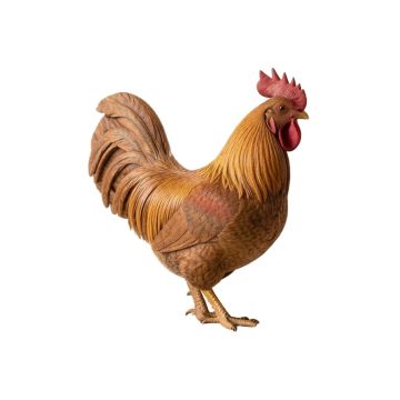 Cameo Rooster Print Wall Décor