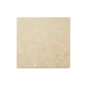 Moss Branch Uninstalled Square Decorative Tile - Beige