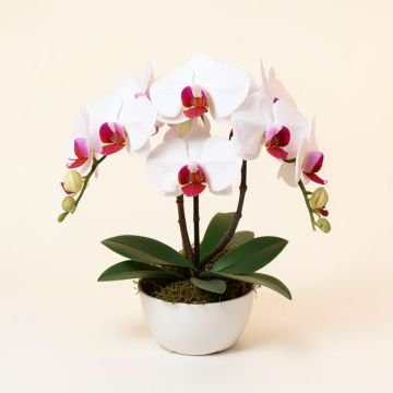 Phalaenopsis Faux Orchids Floral Arrangement (synthetic illustration; no displayed measurements)