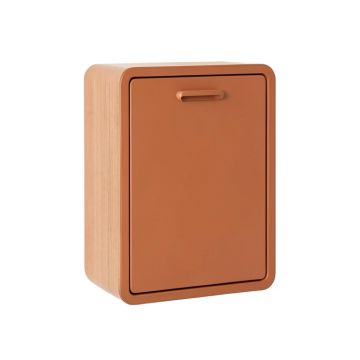 Moss Bridge Wall-Mounted Laundry Cabinet - Terracotta
