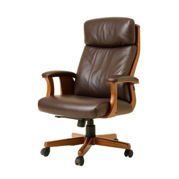 High Back Home Office Ergonomic Executive Chair (synthetic illustration; no displayed measurements)