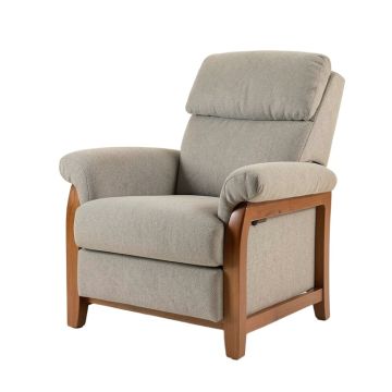 Thirsk 37.25 '' Wide Power Lift Assist Standard Recliner